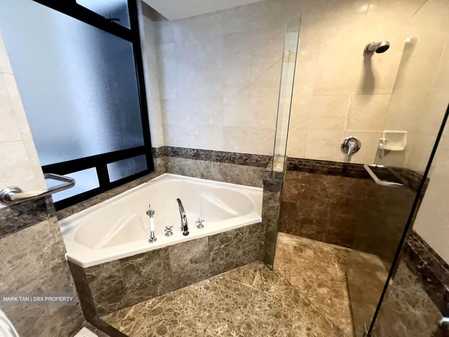 The Sterling (D21), Condominium #575379501